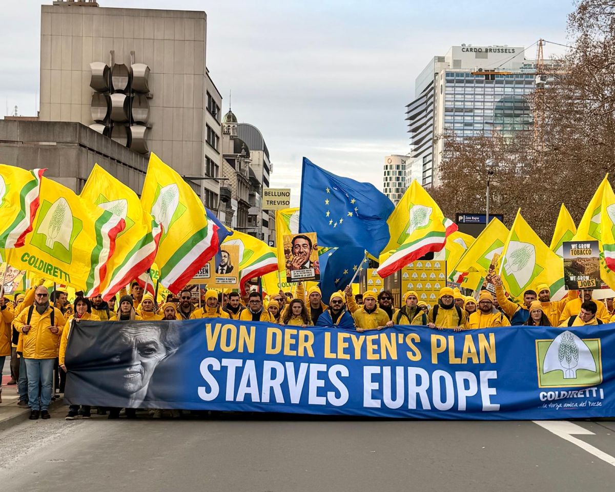 geronimo it il-difensore-giuia-veste-il-biancorosso-ronchi-passa-al-trento-A21643 011