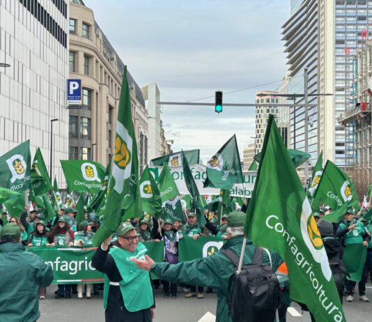 L’agricoltura protesta a Bruxelles, Giansanti “Asset strategico per l’Europa”