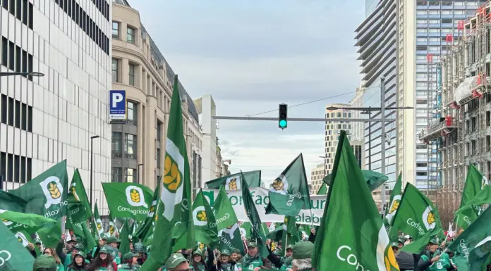 L’agricoltura protesta a Bruxelles, Giansanti “Asset strategico per l’Europa”