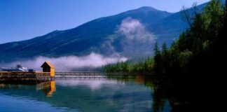 Cina, investimenti nei progetti di conservazione idrica nello Xinjiang
