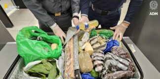 Milano, a Linate sequestrate 6,5 tonnellate di alimenti non sicuri