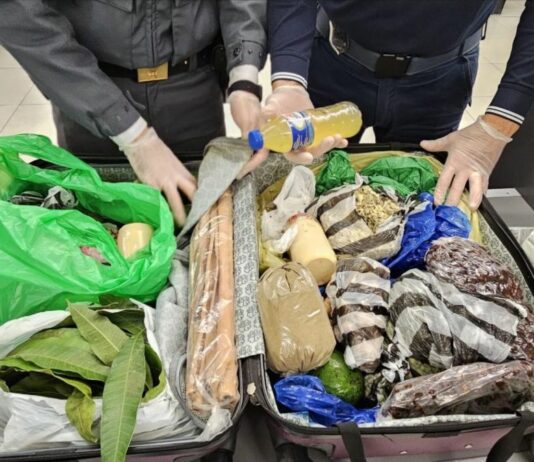 Milano, a Linate sequestrate 6,5 tonnellate di alimenti non sicuri