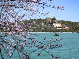 Villa d’Este, una mostra celebra partenariato siti patrimonio Unesco Cina-Italia
