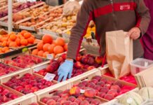 La Sicilia cresce nell’agroalimentare, con una forte espansione dell’export