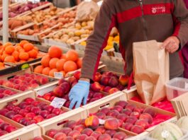 La Sicilia cresce nell’agroalimentare, con una forte espansione dell’export