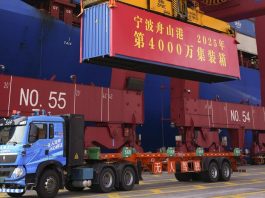 Cina: porto di Ningbo-Zhoushan, nuovo record mondiale nel traffico container (3)