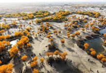 Cina: afflusso turisti internazionali contribuisce a illuminare Xinjiang (1)