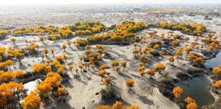 Cina: afflusso turisti internazionali contribuisce a illuminare Xinjiang (1)