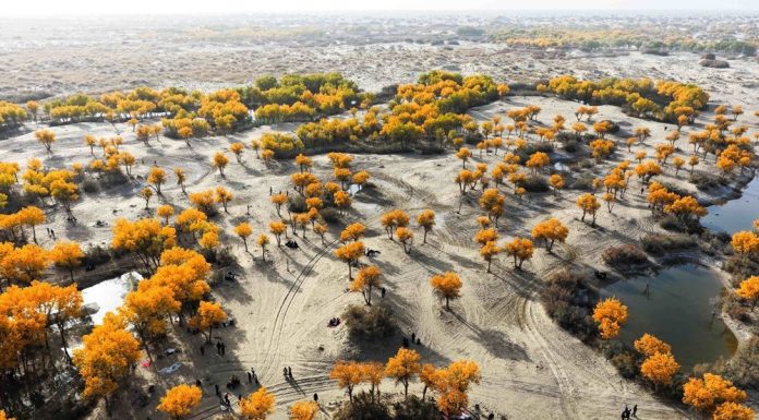 Cina: afflusso turisti internazionali contribuisce a illuminare Xinjiang (1)