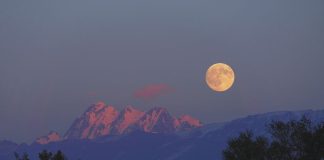 Cina: afflusso turisti internazionali contribuisce a illuminare Xinjiang (3)