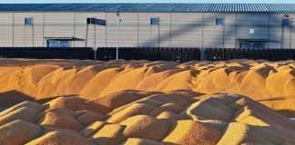 Cina: Heilongjiang conferma il primato nella produzione cerealicola (1)