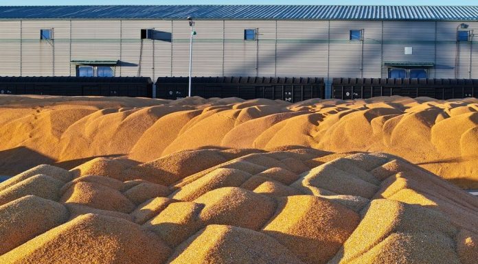 Cina: Heilongjiang conferma il primato nella produzione cerealicola (1)