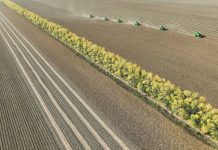 Cina: Heilongjiang conferma il primato nella produzione cerealicola (2)