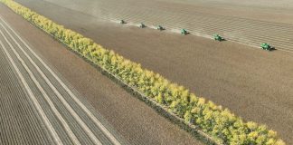 Cina: Heilongjiang conferma il primato nella produzione cerealicola (2)