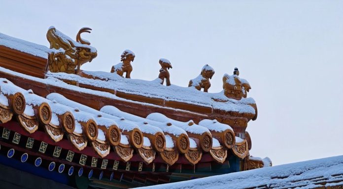 Cina: arriva la neve a Pechino, imbiancata la capitale (3)