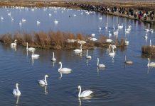 Cina: la magia della natura tra i paesaggi invernali del Paese (1)