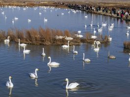 Cina: la magia della natura tra i paesaggi invernali del Paese (1)