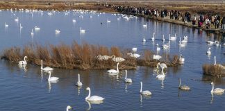 Cina: la magia della natura tra i paesaggi invernali del Paese (1)