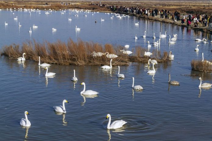 #CHINA-WINTER SCENERY (CN)