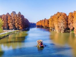 Cina: la magia della natura tra i paesaggi invernali del Paese (2)