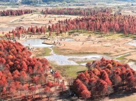 Cina: la magia della natura tra i paesaggi invernali del Paese (3)