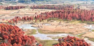 Cina: la magia della natura tra i paesaggi invernali del Paese (3)