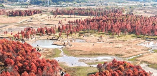 Cina: la magia della natura tra i paesaggi invernali del Paese (3)
