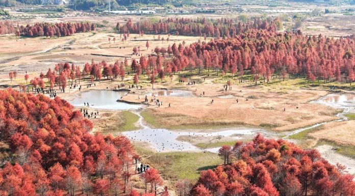 Cina: la magia della natura tra i paesaggi invernali del Paese (3)