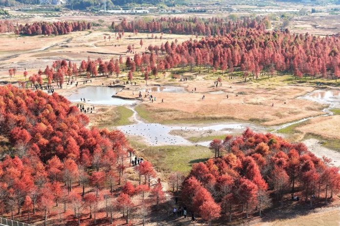 #CHINA-WINTER SCENERY (CN)