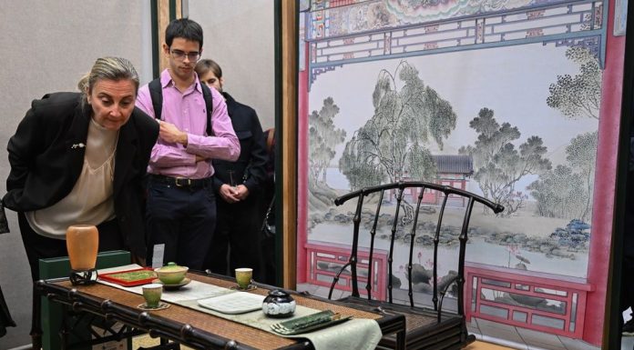 Spagna: a Madrid si è aperta mostra su estetica della vita cinese (1)