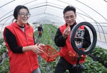 Cina: Huzhou promuove modernizzazione agricola per migliorare prodotti (2)