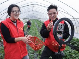 Cina: Huzhou promuove modernizzazione agricola per migliorare prodotti (2)