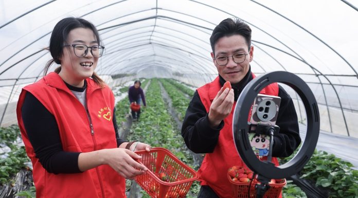 Cina: Huzhou promuove modernizzazione agricola per migliorare prodotti (2)