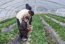 Cina: Huzhou promuove modernizzazione agricola per migliorare prodotti (3)