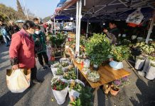 Cina: le immagini della fiera contadina in corso a Jiande (2)