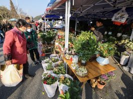 Cina: le immagini della fiera contadina in corso a Jiande (2)