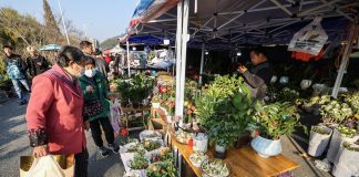 Cina: le immagini della fiera contadina in corso a Jiande (2)