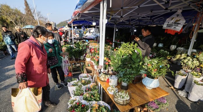 Cina: le immagini della fiera contadina in corso a Jiande (2)