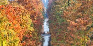 Cina: panorami invernali dall’alto (1)