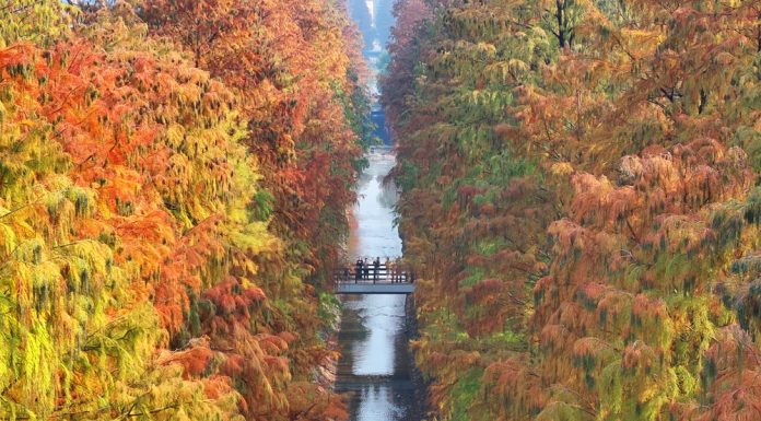 Cina: panorami invernali dall’alto (1)