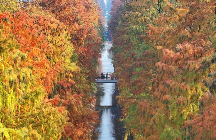 #CHINA-WINTER-SCENERY (CN)