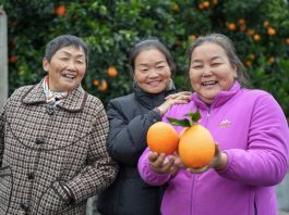 Cina: modello innovativo di promozione dello sviluppo rurale nel Sichuan (1)