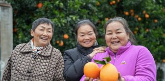 Cina: modello innovativo di promozione dello sviluppo rurale nel Sichuan (1)