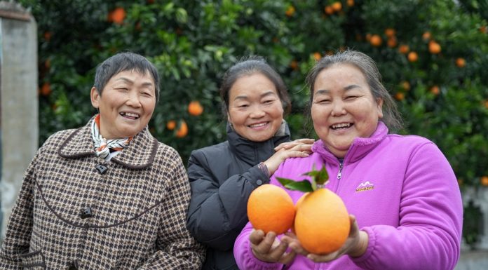 Cina: modello innovativo di promozione dello sviluppo rurale nel Sichuan (1)