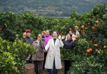 Cina: modello innovativo di promozione dello sviluppo rurale nel Sichuan (3)