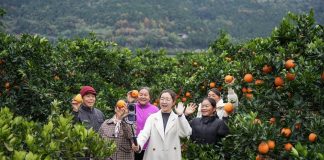 Cina: modello innovativo di promozione dello sviluppo rurale nel Sichuan (3)