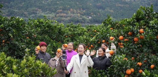 Cina: modello innovativo di promozione dello sviluppo rurale nel Sichuan (3)