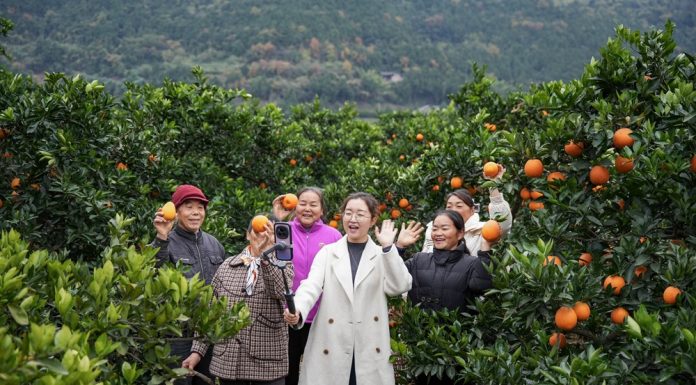 Cina: modello innovativo di promozione dello sviluppo rurale nel Sichuan (3)