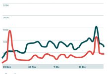 Arcadia, il panettone batte il pandoro nel “sentiment” dei social