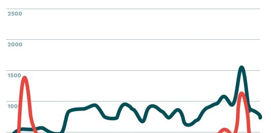 Arcadia, il panettone batte il pandoro nel “sentiment” dei social